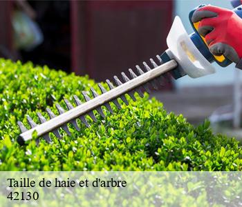 Taille de haie et d'arbre  42130