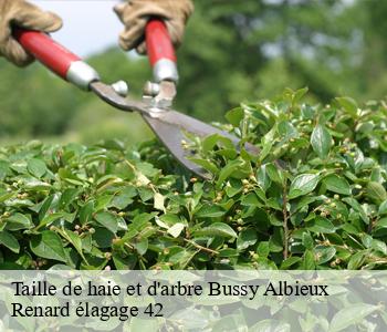 Taille de haie et d'arbre  bussy-albieux-42260 Renard élagage 42