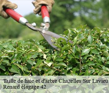 Taille de haie et d'arbre  chazelles-sur-lavieu-42560 Renard élagage 42