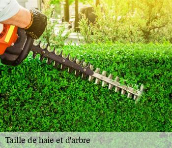 Taille de haie et d'arbre