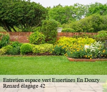 Entretien espace vert  essertines-en-donzy-42360 Renard élagage 42