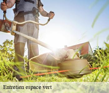 Entretien espace vert