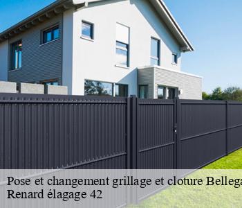 Pose et changement grillage et cloture  bellegarde-en-forez-42210 Renard élagage 42