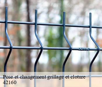 Pose et changement grillage et cloture  42160