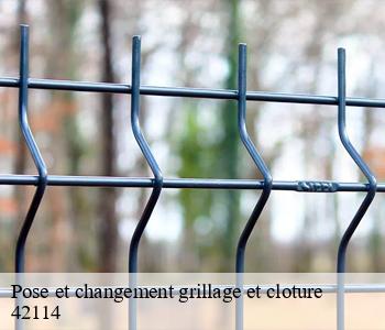 Pose et changement grillage et cloture  42114