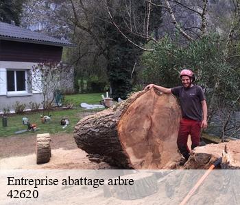 Entreprise abattage arbre  42620