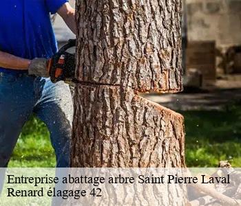 Entreprise abattage arbre  saint-pierre-laval-42620 Renard élagage 42