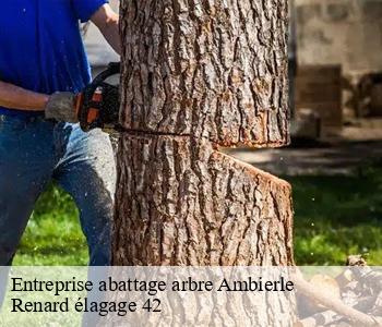 Entreprise abattage arbre  ambierle-42820 Renard élagage 42