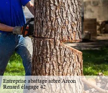 Entreprise abattage arbre  arcon-42370 Renard élagage 42