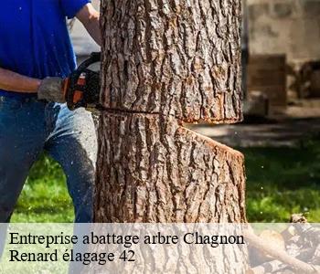 Entreprise abattage arbre  chagnon-42800 Renard élagage 42