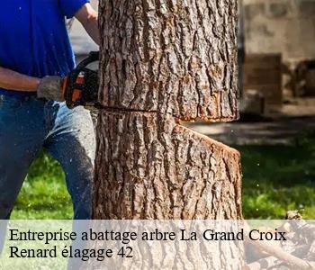 Entreprise abattage arbre  la-grand-croix-42320 Renard élagage 42