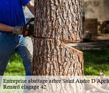 Entreprise abattage arbre  saint-andre-d-apchon-42370 Renard élagage 42