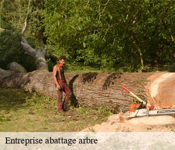 Entreprise abattage arbre