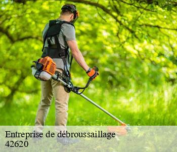 Entreprise de débroussaillage  42620