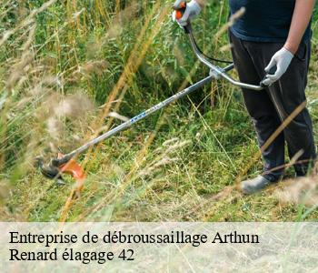 Entreprise de débroussaillage  arthun-42130 Renard élagage 42