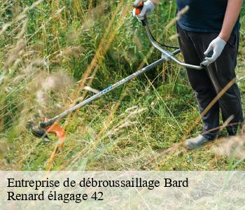 Entreprise de débroussaillage  bard-42600 Renard élagage 42