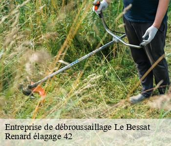 Entreprise de débroussaillage  le-bessat-42660 Renard élagage 42