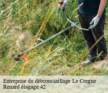 Entreprise de débroussaillage  le-cergne-42460 Renard élagage 42