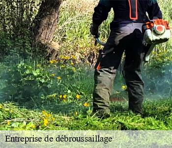 Entreprise de débroussaillage