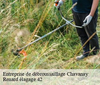 Entreprise de débroussaillage  chavanay-42410 Renard élagage 42