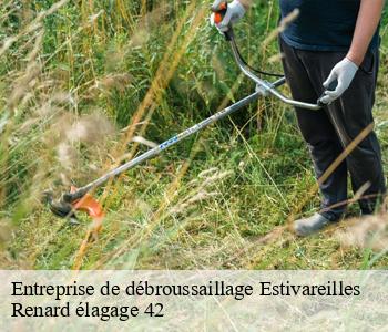 Entreprise de débroussaillage  estivareilles-42380 Renard élagage 42