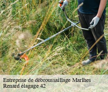 Entreprise de débroussaillage  marlhes-42660 Renard élagage 42