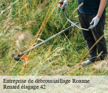 Entreprise de débroussaillage  roanne-42300 Renard élagage 42