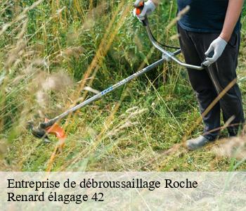 Entreprise de débroussaillage  roche-42600 Renard élagage 42