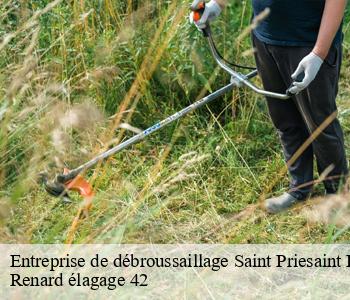 Entreprise de débroussaillage  saint-priesaint-la-prugne-42830 Renard élagage 42