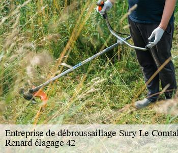 Entreprise de débroussaillage  sury-le-comtal-42450 Renard élagage 42