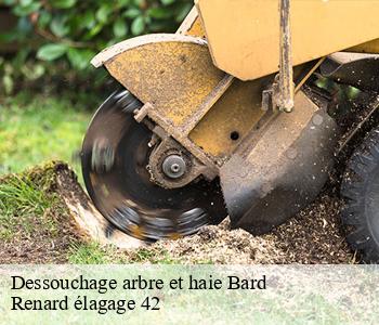 Dessouchage arbre et haie  bard-42600 Renard élagage 42