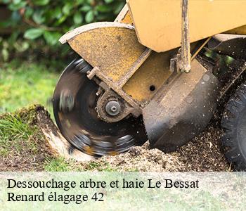 Dessouchage arbre et haie  le-bessat-42660 Renard élagage 42