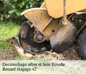 Dessouchage arbre et haie  ecoche-42670 Renard élagage 42