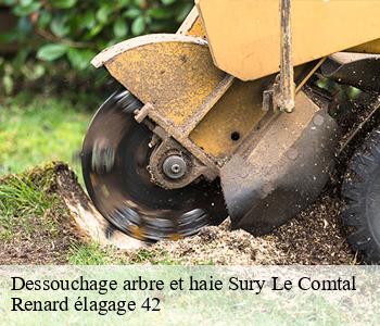 Dessouchage arbre et haie  sury-le-comtal-42450 Renard élagage 42